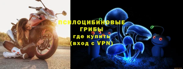 винт Абаза