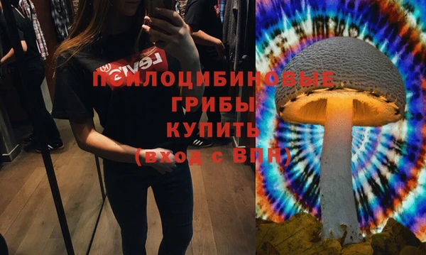 spice Абинск