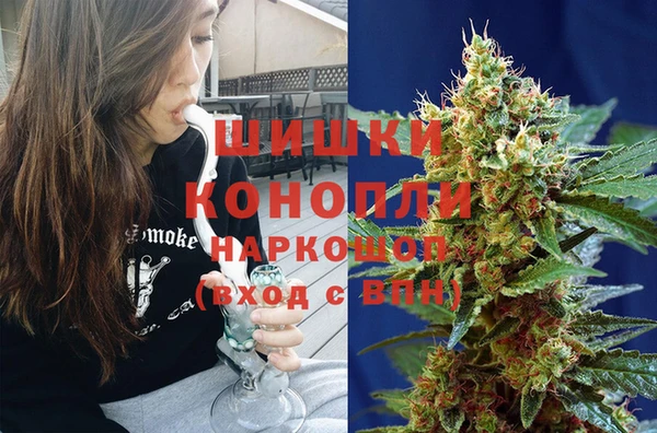 шишки Ростов