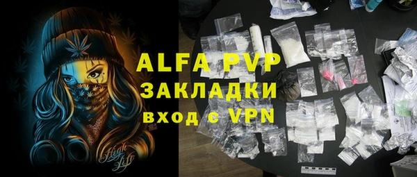 индика Приозерск