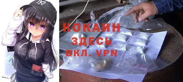 шишки Ростов
