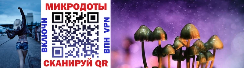 закладки  Алатырь  Галлюциногенные грибы Magic Shrooms 