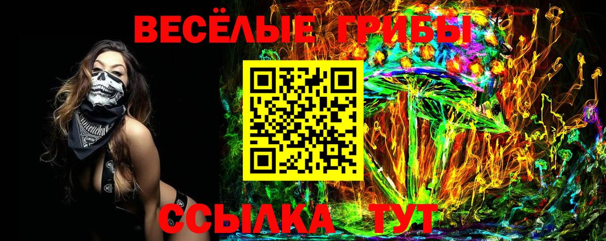 Псилоцибиновые грибы MAGIC MUSHROOMS  купить наркоту  Алатырь  Вход с VPN 