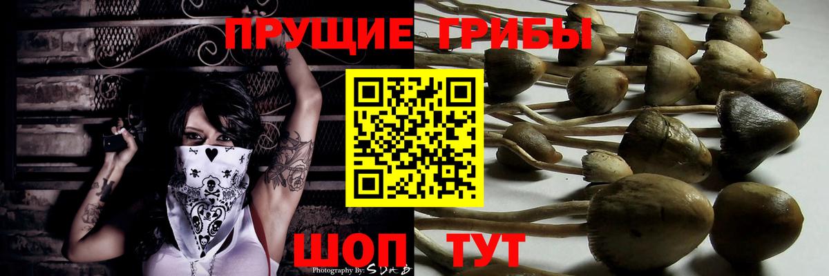 Псилоцибиновые грибы GOLDEN TEACHER Алатырь